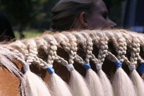 Horse Braiding Mane, Horse Mane Hairstyles, Hairstyles For Horses Mane, Horse Grooming Tools, Mane Braids For Horses, Horse Hairstyles Ideas, Horse Mane Ideas, Horse Mane Styles, Horse Hair Styles