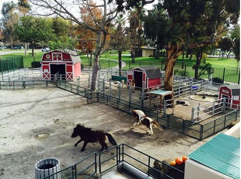 Parnell Park Storybook Zoo | Whittier, CA - Parks, Recreation and Community Services Petting Farm Layout, Small Petting Zoo Ideas, Petting Zoo Layout, Farm Petting Zoo Ideas, Petting Zoo Farm Aesthetic, Petting Zoo Animals, Petting Zoo Ideas, Agritourism Ideas, Petting Zoo Farm