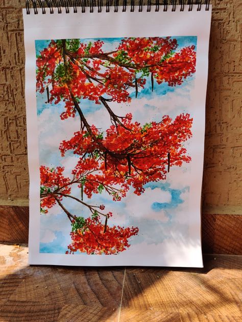 Watercolor painting of gulmohar tree in Bangalore, india Gulmohar Drawing, Gulmohar Tree Painting, Gulmohar Flowers Drawing, Gulmohar Flowers Painting, Gulmohar Painting, Gulmohar Flowers, Gulmohar Tree, World Ocean Day, Watercolor Mushroom