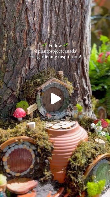 Shavonne Flegel on Instagram: "DIY Fairy Garden, for Hobbits. 👣🌿  Every year I build a fairy garden in memory of my niece Abigale. This year I was inspired to use our tree and make a fairy “shire.” 🌱  Gardens hold so many memories, and I always try to plant my garden with special hidden easter eggs in honour of the people we love. 🤍   Do you grow a memory garden? Comment down below and tell me if you do, what does yours look like?  Follow @plantprojectcanada for more Gardening inspiration, tips, & tricks, and Follow @onceuponabungalow for more Home & DIY!  #PlantProjectCanada #fairygarden #hobbit #hobbitcore #theshire #lordoftherings #hobbiton #lotr #thehobbit #fairy #faries #patioinspo #patio #patioinspiration #garden #gardening #backyard #gardeninspiration #plantsplantsplants #garden Hobbit Fairy Garden, Large Fairy Garden Ideas, Outdoor Fairy Garden Diy, Shire Garden, Hobbit Garden, Memory Garden, Make A Fairy, Diy Fairy Garden, Gardening Backyard