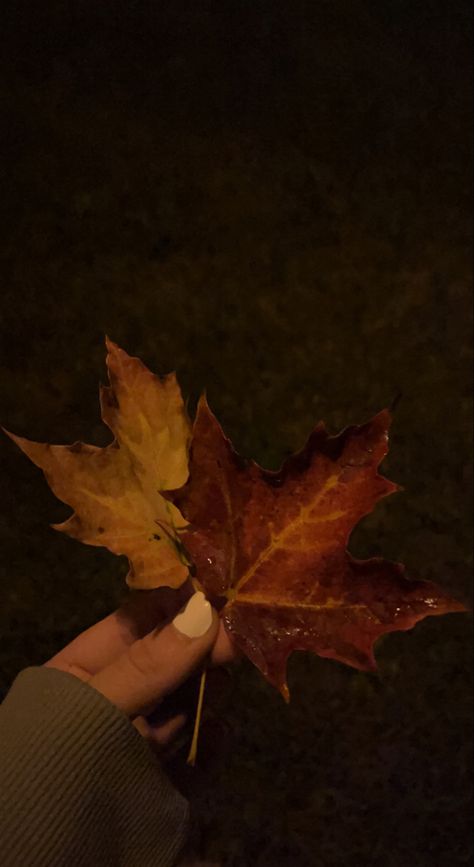 Autumn Romance, Crunchy Leaves, Dark Academia Aesthetic, Academia Aesthetic, Autumn Cozy, Autumn Aesthetic, Fall Vibes, Dark Academia, Maple Leaf Tattoo