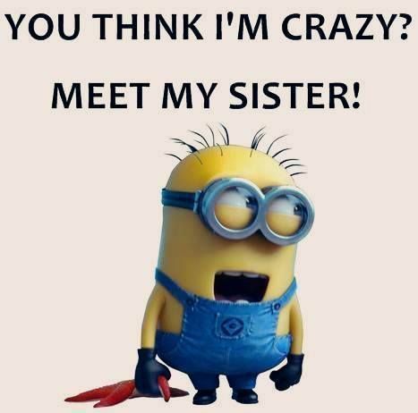 Funny Siblings Quote, Minion Humour, Little Sister Quotes, Sibling Quotes, Minions Humor, Funny Sister, Funny Minion Pictures, Funny Minion Memes, Sister Quotes Funny