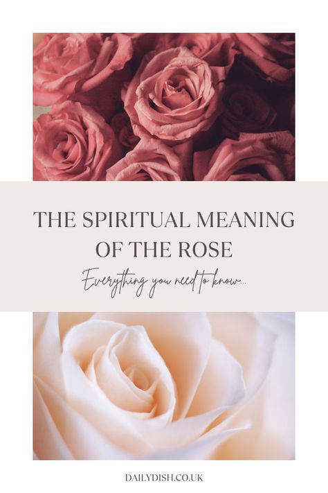 The Spiritual Meaning Of The Rose Rose Meaning, Feminine Symbols, Rose Mirror, Higher State Of Consciousness, Norse Myth, Spiritual Transformation, Christian Traditions, Rose Of Sharon, Sacred Feminine