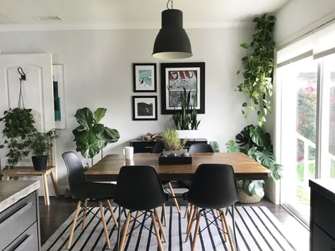 A California's Home's Black, White & (Leafy) Green Remodel — House Call Black White Rooms, Home Addition Plans, Green Apartment, White Apartment, Black And White Living Room, Black Living Room, Green Home Decor, Black And White Decor, Living Room Green