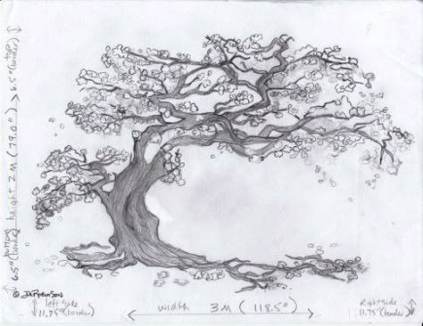 Japan Tree Tattoo, Cherry Blossom Tree Illustration, Sakura Tree Sketch, Cherry Blossom Tree Outline, Blossom Tree Sketch, Family Tree Sketch, Cherry Tree Drawing, Sakura Tree Drawing, Cherry Tree Illustration