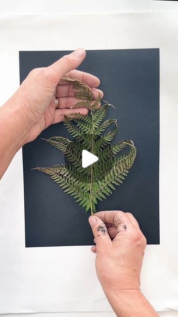 Pressed Leaf Art Diy, Leaf Printing Art Ideas, Ferns Painting, Botanical Monoprinting, Art With Leaves, Hammered Flowers, Monoprint Art, Leaf Art Diy, Dry Leaf Art