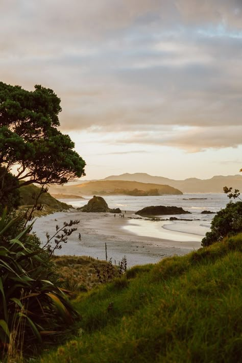 . Landscape New Zealand, Nz Landscape Photography, Aotearoa New Zealand, New Zealand Beautiful Places, Summer In New Zealand, New Zealand Landscape Painting, New Zealand Travel Photography, New Zealand Landscape Photography, New Zealand Beaches