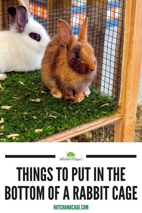 Rabbit Playground, Diy Bunny Cage, Bunny Care Tips, Diy Rabbit Cage, Indoor Rabbit Cage, Diy Rabbit Hutch, Outdoor Rabbit Hutch, Rabbit Enclosure, Rabbit Habitat