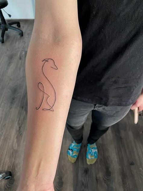 Whippet Dog Tattoo, Small Greyhound Tattoo, Greyhound Ear Tattoo, Grey Hound Tattoo, Whippet Tattoo Ideas, Lurcher Tattoo, Iggy Tattoo, Italian Greyhound Tattoo, Sighthound Tattoo