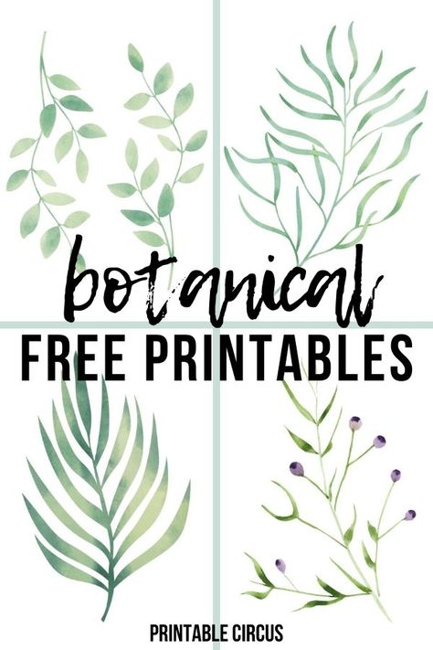 summer botanical free printables - download and print these FREE botanical prints for summer. Great for updating gallery walls and to add to summer home decor. Summer greenery and leaf prints. Free Botanical Prints, Wall Art Prints Printables, Botanical Printables, Flamingo Wall Art, Wal Art, Free Wall Art, Summer Wall Art, Fruit Wall Art, Free Printable Wall Art