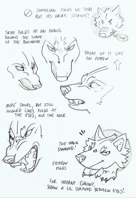 Werewolf Drawing, Canine Drawing, Art Advice, Werewolf Art, Wolf Drawing, Canine Art, Animal Anatomy, Creature Drawings, Art Help