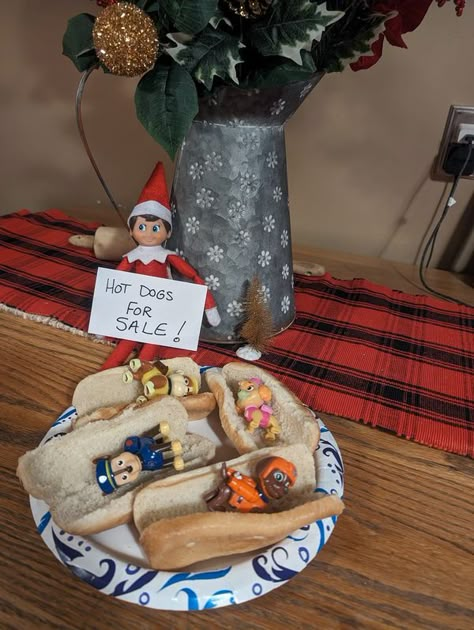 Elf Mischief, Elf On Shelf Ideas, Elf Fun, Elf On Shelf, Elf Ideas, Dogs For Sale, Elf On A Shelf, Elf On The Shelf Ideas, The Elf