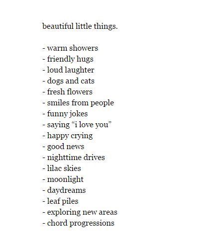 beautiful little things. - warm showers - friendly hugs - loud laughter - dogs and cats - fresh flowers - smiles from people - funny jokes - saying "i love you" - happy crying - good news - nighttime drives - lilac skies - moonlight - daydreams - leaf piles - exploring new areas - chord progressions Laying Under The Stars, Simple Life Aesthetic, Happy Crying, Comics Sketch, Chord Progressions, Word Of Wisdom, Happy Things, Life Aesthetic, Music Festivals