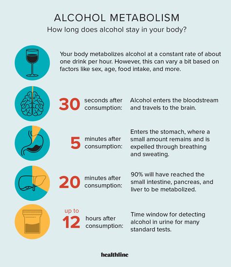 How Long Does Alcohol Stay in Your System? How Long Does Alcohol Stay In System, Alcohol Facts, Abdominal Pain Relief, Human Digestive System, Alcohol Poisoning, 8th Sign, Diy Backdrop, Nutrition Education, Biochemistry