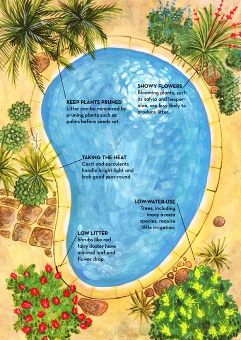 Some basic tips for Landscaping around an inground swimming pool Landscaping Around Pool, Inground Pool Landscaping, Pool Plants, Landscaping Around House, Pool Landscaping Ideas, Swimming Pool Landscaping, Pool Landscape Design, Swimming Pools Inground, Pool Stuff