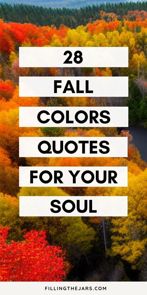 My Favorite Color Is Fall, My Favorite Color Is Autumn, Fall Is My Favorite Season, Fall Beauty Quotes, Fall Colors Quotes, Fall Color Quotes, Month Of September Quotes, Fall Sayings Quotes Autumn, Autumn Aesthetic Quotes