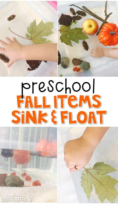 Pumpkin Activities For Preschool, Fall Science Activities, Fall Themed Activities, Autumn Preschool Theme, Fall Lesson Plans, Fall Science, Thanksgiving Crafts Preschool, October Activities, Preschool Science Activities