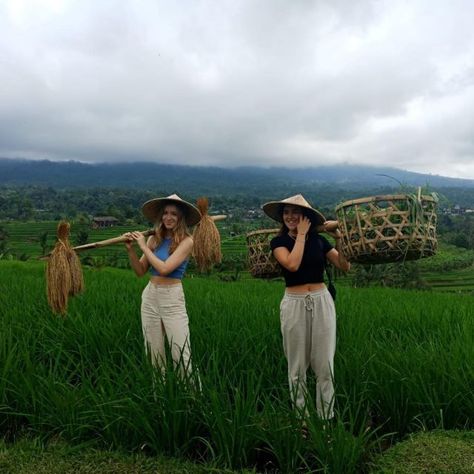 Volunteering In Thailand, Volunteering Abroad Aesthetic, Volunteer Abroad Aesthetic, Volunteering Animals, Bali Wildlife, Bali Volunteering, Animal Volunteering, Volunteer Work Aesthetic, Volunteering Aesthetic