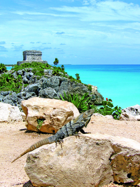 Friend posing in front of the Mayan Ruins by the beach in Tulum. Best program ever! #LiveItToBelieveIt #VisitMexico #Tulum #Maya #mexico Travel Tulum, Mexico Ruins, Rivera Maya Mexico, Places To Visit In Mexico, Mexico Pictures, Tulum Ruins, Cancun Tulum, Mexico Cancun, Costa Maya