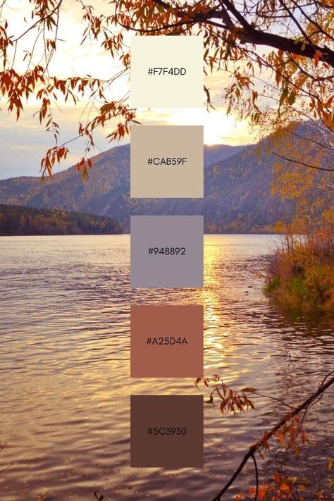 Color Palette Swatches, With Color Palette, Sunset Palette, Autumn Sunset, Color Design Inspiration, Hex Color Palette, Forest Color, Paint Color Schemes, Color Schemes Colour Palettes