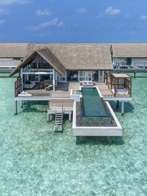 I Am A Billionaire, Resort Ideas, Maldives Hotel, Maldives Honeymoon, Water Villa, Maldives Resort, Four Seasons Resort, Overwater Bungalows, Maldives Travel