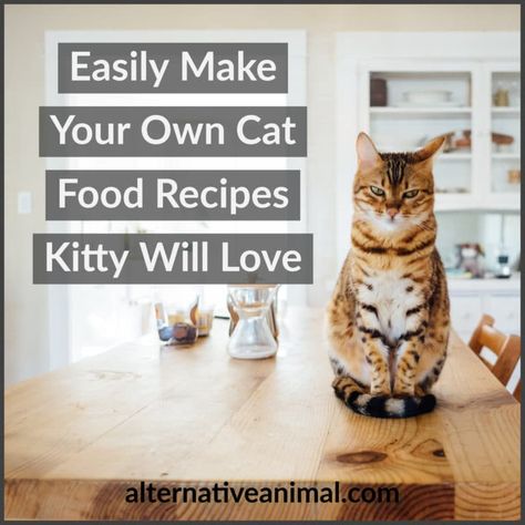 Easily Make Your Own Cat Food Recipes Kitty Will Love 2 Make Your Own Cat Food, Cat Treats Recipes, Kitty Recipes, Homemade Cat Treats Recipes, Animal Diet, Homemade Cat Treats, Pet Food Recipes, Cat Food Recipe, Diy Cat Food