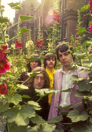 The Beatles in a forest of hollyhocks. via The Hippies were Right. Dream Photoshoot, Collage Mural, Beatles Love, Beatles Photos, Strawberry Fields Forever, Sopot, Wallpaper Pastel, Rock N’roll, The Fab Four