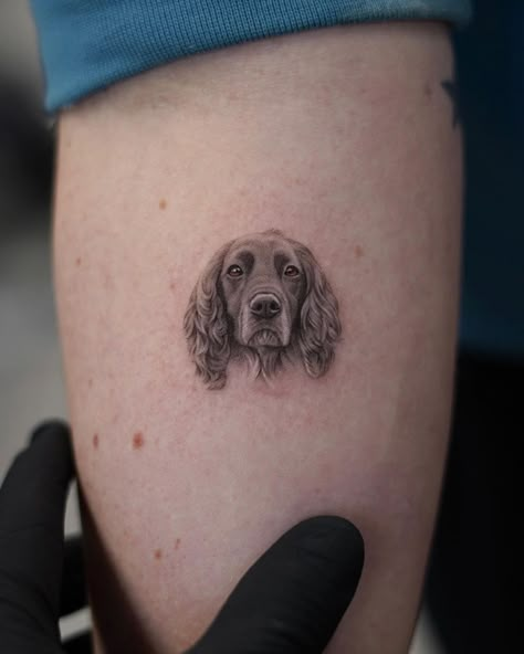 Sprocker Spaniel Tattoo, Mini Dog Portrait Tattoo, Pet Portrait Tattoo Ideas, Microrealism Dog Tattoo, Spaniel Tattoo Cocker, Micro Pet Portrait Tattoos, Tattoo Dog Portrait, Dog Tattoo Cocker Spaniel, Realism Dog Tattoo