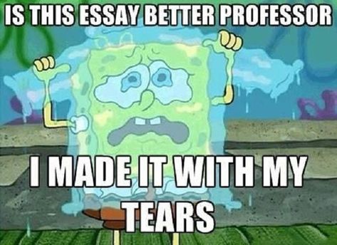 Ap English, College Humor, Story Of My Life, Grad School, School Humor, Laughter Is The Best Medicine, Law School, Spongebob Squarepants, Just For Laughs