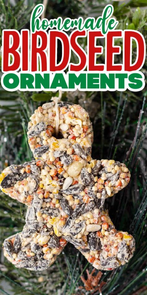 Engage in a fun and creative activity with your kids by making bird seed ornaments. Perfect for feeding the birds in your yard or as thoughtful gifts! Bird Seed Sensory Bin, Creative Bird Feeders, How To Make Bird Seed Ornaments, Birdseed Ornaments Recipe Peanut Butter, Peanut Butter Bird Seed Ornaments, Homemade Bird Seed Ornaments, Diy Nature Christmas Ornaments, Birdseed Ornaments Recipe, Squirrel Scouts