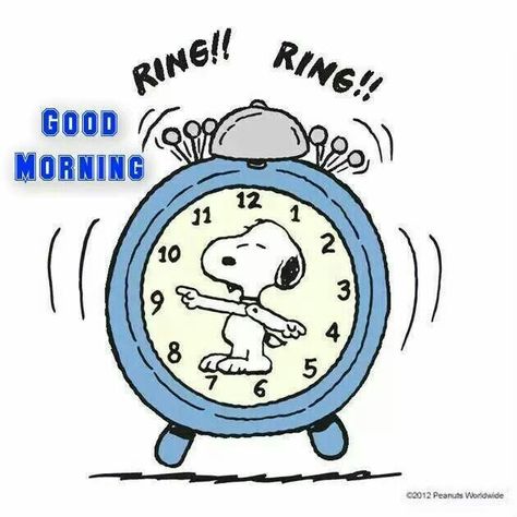 Good morning Snoopy Peanut Pictures, Good Morning Snoopy, Charlie Brown And Friends, Brown And Friends, Lucy Van Pelt, Snoopy Cartoon, Peanut Gang, Hello Kitty Imagenes, Peanuts Cartoon