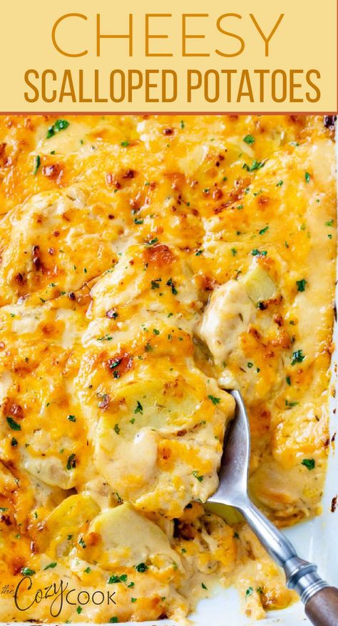 Best Cheesy Au Gratin Potatoes, Au Gratin Cheesy Potatoes, I’ll Gratin Potatoes, Au Potatoes Gratin, Scalloped Potatoes On The Bbq, Cheesy Augratin Potatoes, Any Gratin Potatoes, Scalloped Potatoes Sour Cream, Creamy Au Gratin Potatoes All Recipes