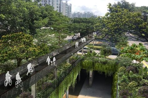 Singapore Landscape, Henderson Waves, Green Cities, Green Bridge, Green Corridor, Singapore Botanic Gardens, Bukit Timah, New Urbanism, Linear Park