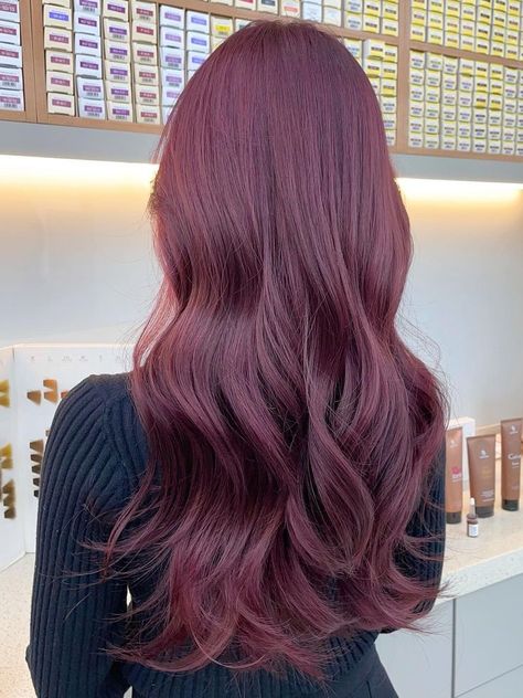 purple brown Korean hair color Pelo Color Borgoña, Burgandy Hair, Wine Hair Color, Plum Hair, Wine Red Hair, Korean Hair Color, Wine Hair, Red Hair Inspo, Cherry Hair