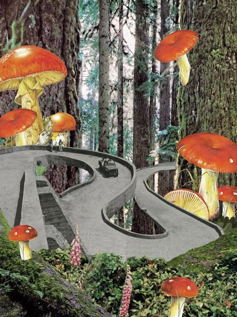 Vintage Surealism Art, Surrealism Painting Nature, Magazine Collage Painting, Collage Space Art, Collage Nature Art, Mushroom Collage Art, Forest Collage Art, Collage Art Inspiration, Surreal Landscape Collage