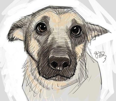 Puppy Drawing, Couple Drawing, 강아지 그림, Drawing Faces, Art Et Illustration, Puppy Eyes, Animal Sketches, Art And Illustration, Dog Drawing