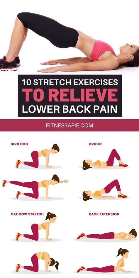 Stretching and other light exercises can reduce the agony in your lower back. In this article, we are going to look at 10 amazing stretches that can help with lower back pain. Lower Back Pain Stretches, Yoga For Back, Back Pain Stretches, Back Exercise, Back Workouts, Back Stretches For Pain, Lower Back Pain Exercises, Yoga Kurse, Yoga Online