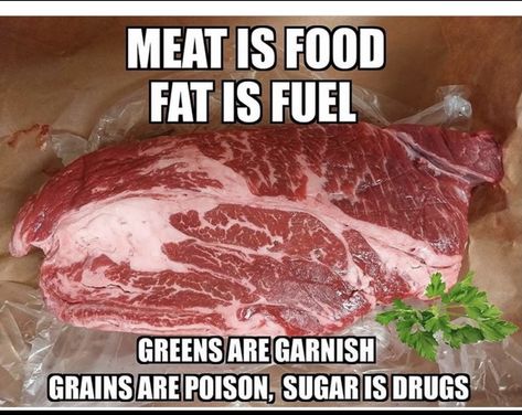 Wheat Belly Diet, Carnivore Diet Recipes, Food To Gain Muscle, Carnivore Keto, Aip Paleo Recipes, Caveman Diet, Meat Eater, Carnivore Recipes, Let Food Be Thy Medicine