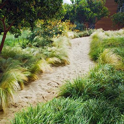 sand and grass Sustainable Landscaping, Backyard Beach, Beach Garden, Modern Landscape Design, Dry Creek, Beach Gardens, Garden Pathway, Garden Path, Backyard Projects