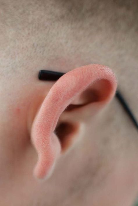 Ear References, Wolfgang Tillmans, How To Draw Ears, Wolfgang Tillman, Head Anatomy, Outer Ear, Face Anatomy, Human Ear, Classic Photography