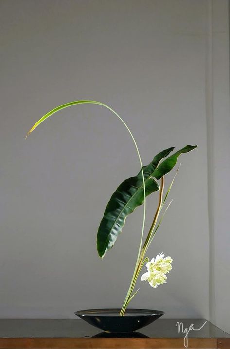 Ikebana Arrangement, Ikebana Ikenobo, Ikebana Arrangements, Ikebana, Composition, Flowers