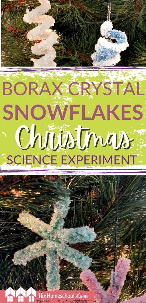 Borax Crafts, Crystal Ornaments Diy, Borax Crystal Ornaments, Borax Crystals Diy, Borax Snowflakes, Pipe Cleaner Ornaments, Snowflakes Science, Make Crystals, Christmas Science Experiments