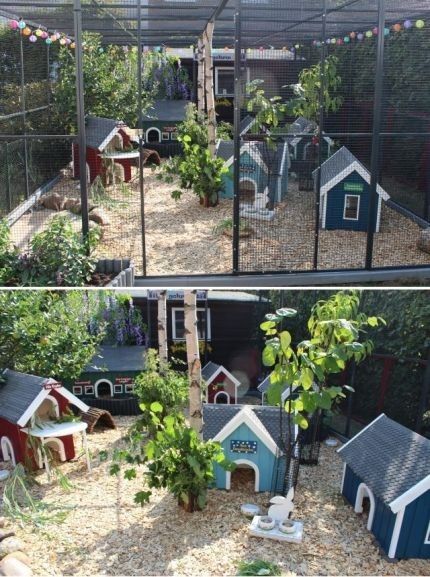 Rabbit Playground, Rabbit Farming, Indoor Rabbit Cage, Rabbit Enclosure, Rabbit Habitat, Rabbit Farm, Bunny Hutch, Bunny Room, Raising Rabbits