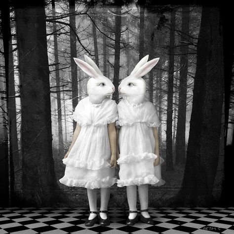 Dark Alice In Wonderland, Alice In Wonderland Aesthetic, Creepy Core, Creepy Vintage, White Rabbits, Here On Earth, Creepy Cute, White Rabbit, Tim Burton