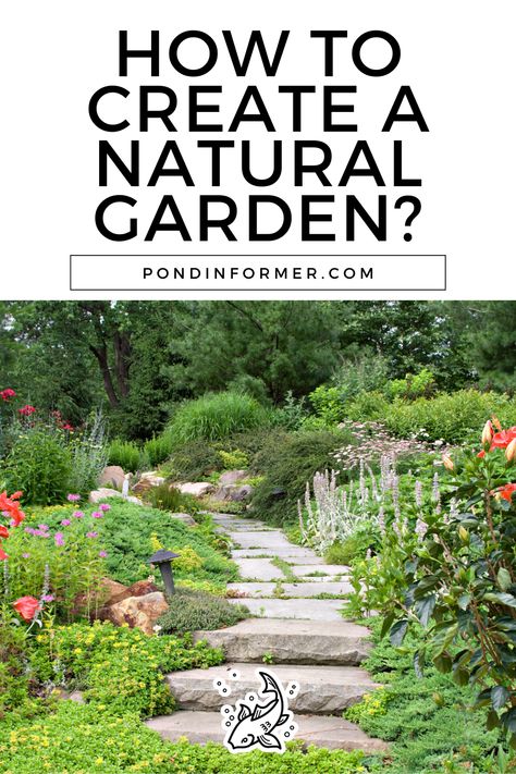 Transform your outdoor space into a stunning natural garden with our eco-friendly tips! Begin by understanding the ambient conditions of your region and cultivating native species. Avoid invasive plants and create a design that supports local wildlife and thrives year-round.  #NaturalGarden #EcoFriendlyGardening #EcoFriendly #EnvironmentallyFriendly #SustainableGardening #GreenLiving #GardenTips #OrganicGardening #WildlifeGarden #NatureInspired #GardenInspiration #Garden #PondInformer Natural Garden Design, Natural Gardens, Pond Decorations, Natural Gardening, Naturalistic Garden, Pond Aerator, Pond Garden, Pond Filters, Eco Friendly Garden