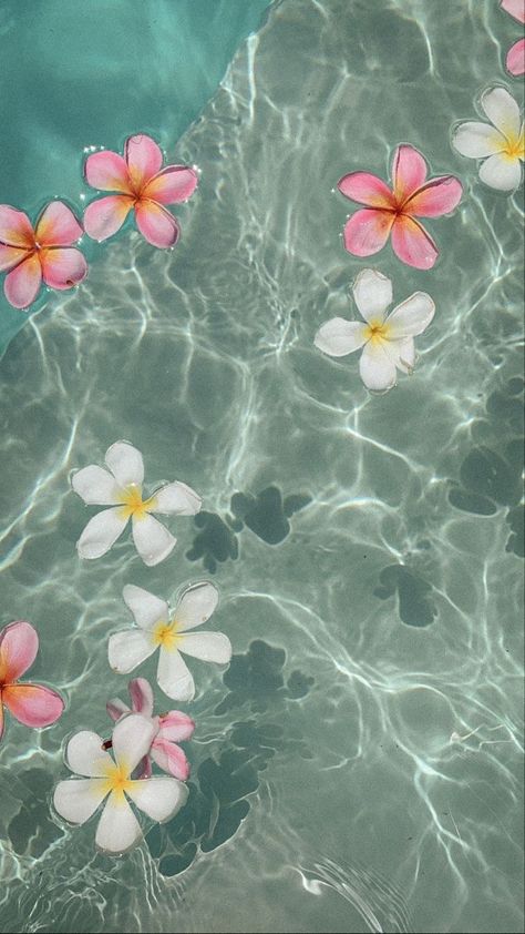 Hibiscus Phone Wallpaper, Vintage Summer Aesthetic Wallpaper, Pink Flowers In Water, Flowers In Water Aesthetic Wallpaper, Water Astethic, Ipad 10 Wallpaper, Hibiscus Wallpaper Iphone, Aloha Wallpaper, Sea Hibiscus