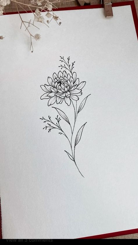 Chrysanthemum Tattoo Bouquets, Cersanthamum Flower Tattoo, Simple Chrisantemum Tattoo, Tattoo Flower Sketch, Chrysanthemums Tattoo Minimalist, Chrysanthemum Vine Tattoo, Chrysanthemum And Snowdrop Tattoo, The Chrysanthemum Tattoo, Spidermum Flowers Tattoo