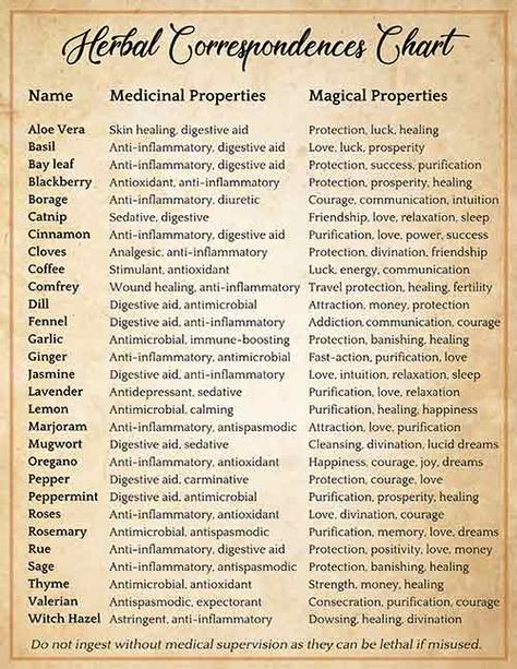 Magickal Correspondences, Magickal Herbs, Witch Herbs, Medical Herbs, Witch Spirituality, Grimoire Book, Magic Spell Book, Magic Herbs, Under Your Spell