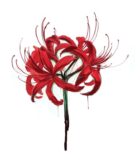 Spider Lily Drawing, Lily Drawing, Lilies Drawing, Tamamo No Mae, Red Spider Lily, Spider Lily, Red Spider, Red Lily, Lily Tattoo