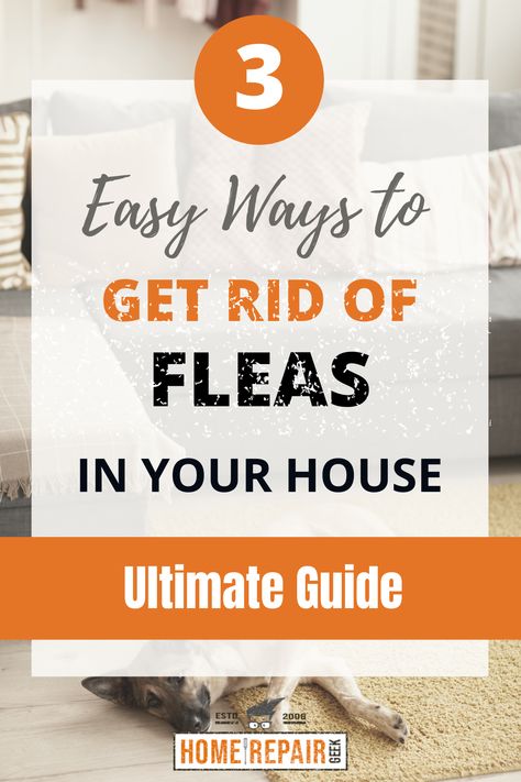 3 fleas remedies to get rid of fleas How To Keep Fleas Out Of House, How To Treat Fleas On Cats, Flea Control For Home, Best Way To Get Rid Of Fleas, Getting Fleas Out Of House, How To Get Of Fleas In House, Rid Of Fleas In House, Getting Rid Of Fleas On Cats, How To Get Ride Of Fleas In House Home